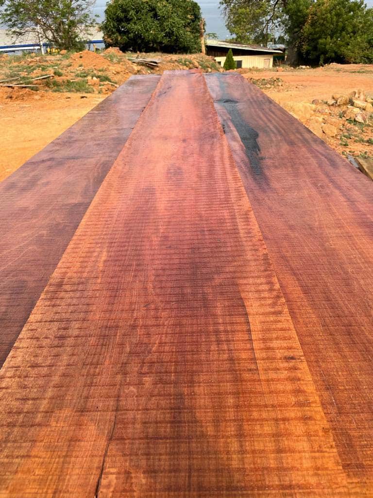 Buy EROVEA Magnolia boards-extra-wide-large